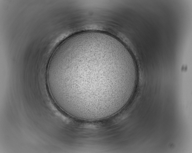 X0000113590625200910021718