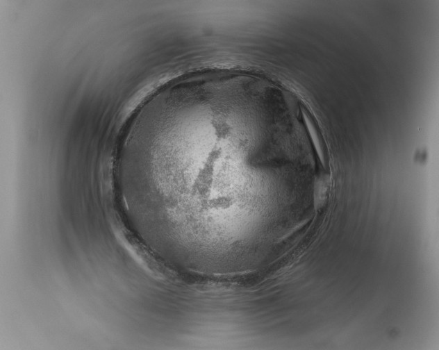 X0000113590626200910021718