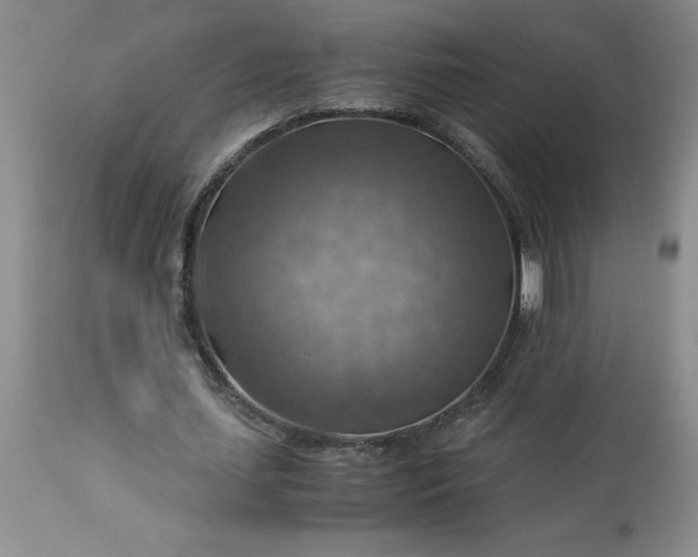 X0000113590627200910021718