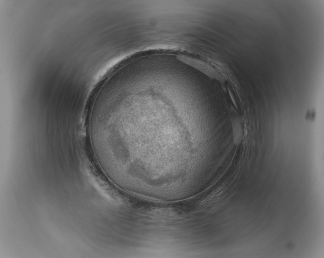 X0000113590628200910021718