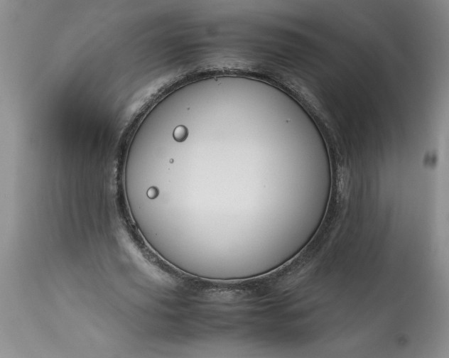 X0000113590629200910021718