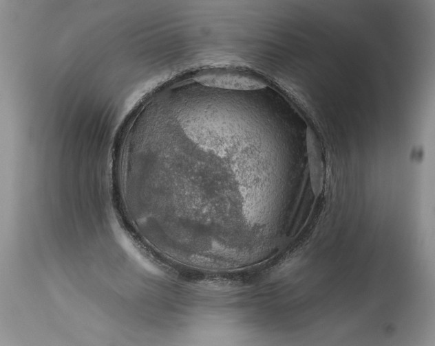 X0000113590630200910021718