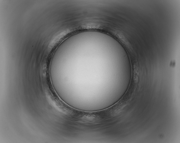 X0000113590631200910021718