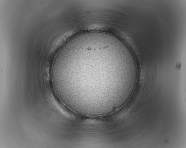 X0000113590633200910021718