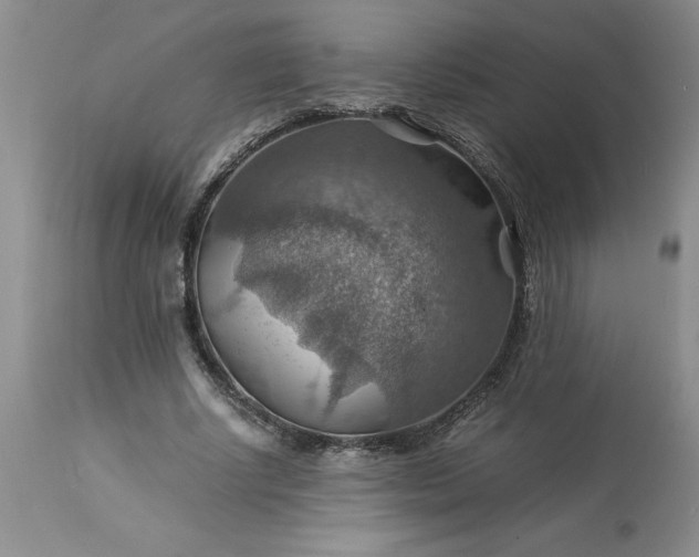 X0000113590634200910021718