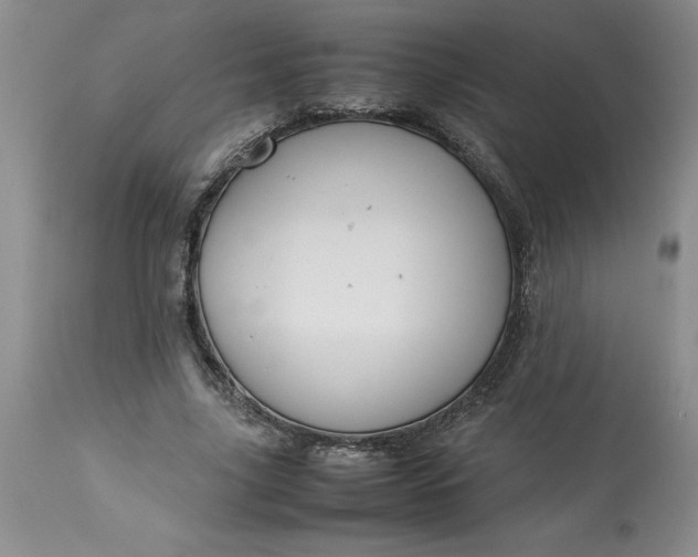 X0000113590635200910021718