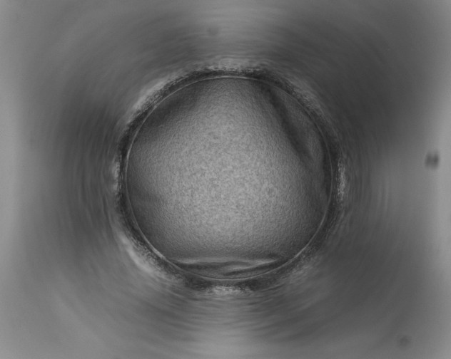 X0000113590636200910021718