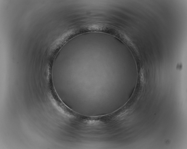 X0000113590637200910021718