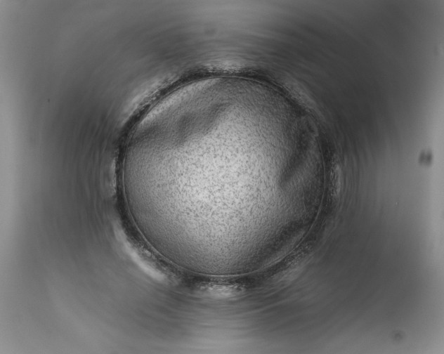 X0000113590638200910021718