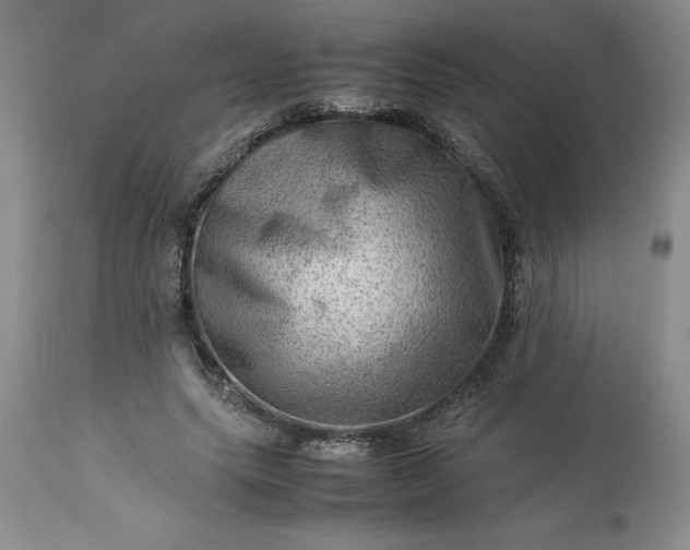 X0000113590639200910021718