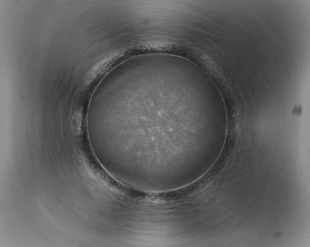 X0000113590640200910021718