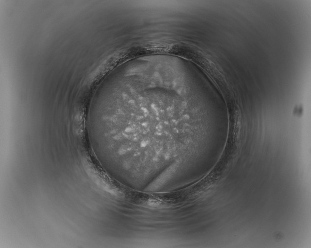 X0000113590641200910021718