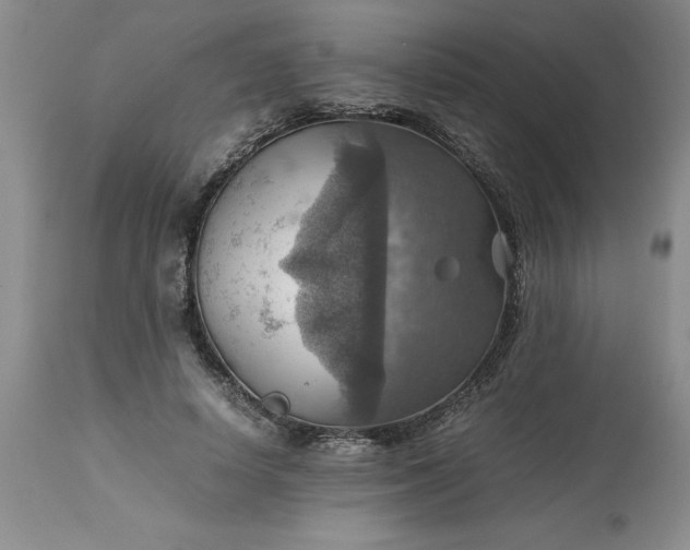 X0000113590642200910021718