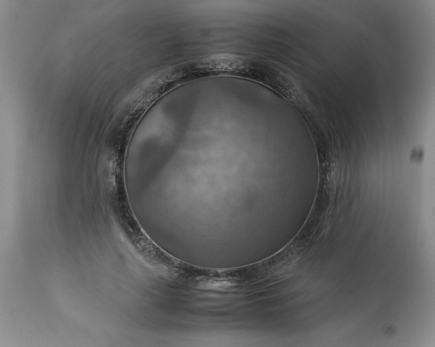 X0000113590643200910021718