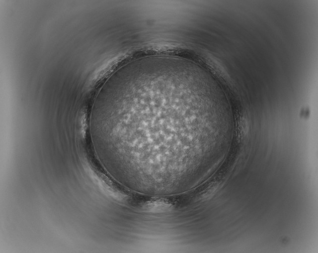 X0000113590644200910021718