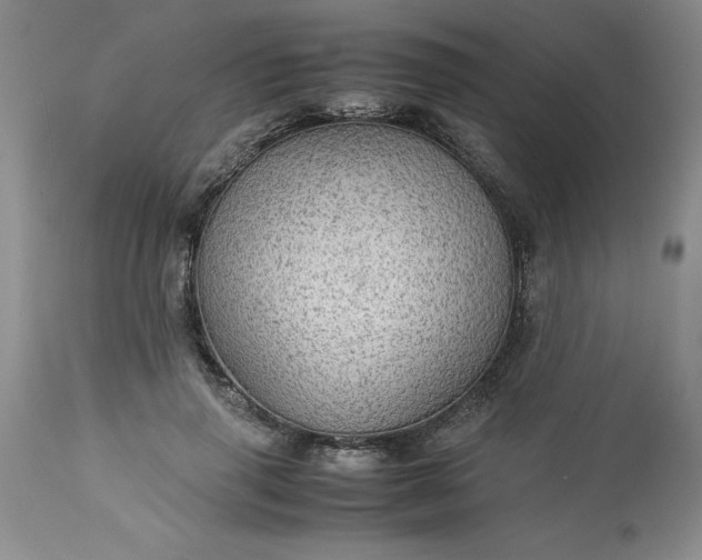 X0000113590645200910021718