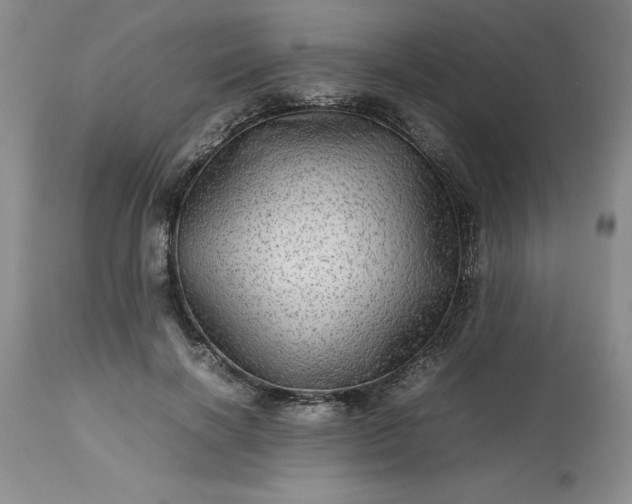 X0000113590646200910021718