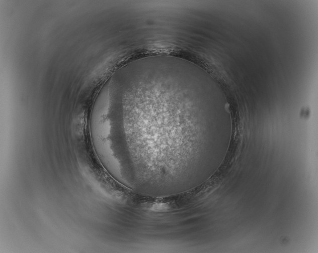 X0000113590647200910021718