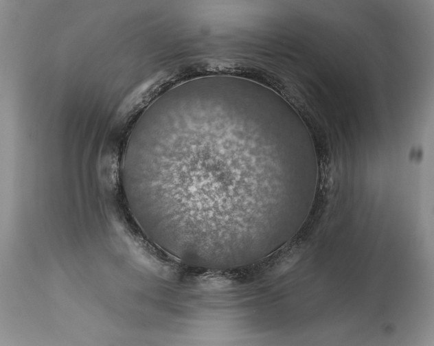 X0000113590648200910021718