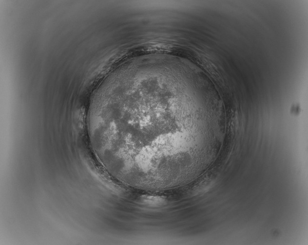 X0000113590649200910021718