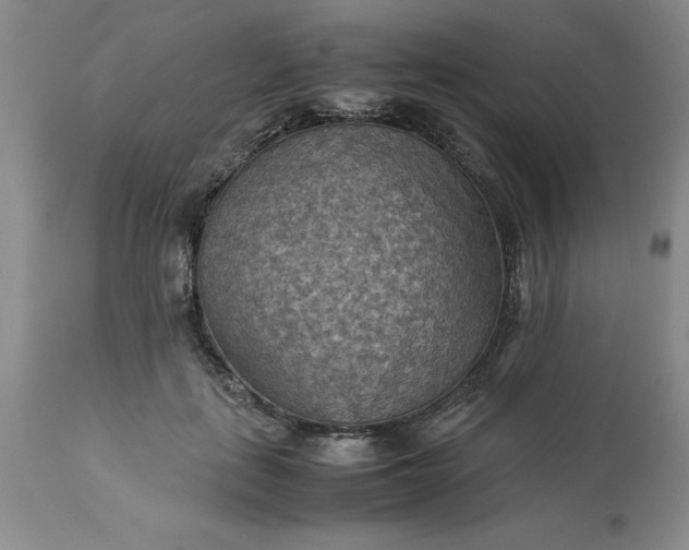 X0000113590651200910021718