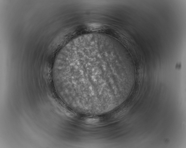 X0000113590653200910021718