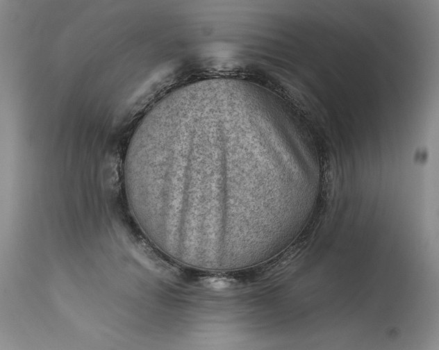 X0000113590654200910021718