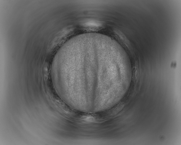 X0000113590655200910021718