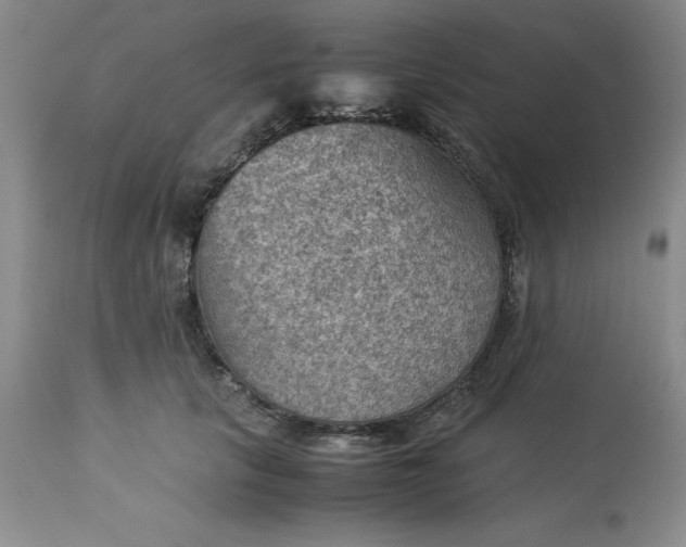 X0000113590657200910021718