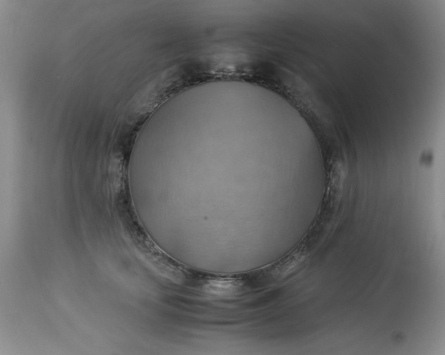 X0000113590659200910021718