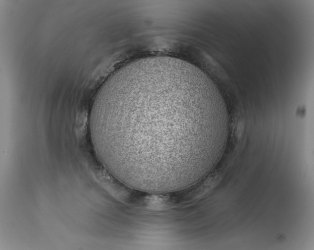 X0000113590660200910021718