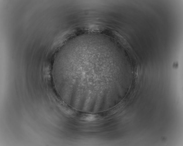 X0000113590663200910021718