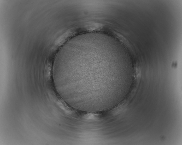 X0000113590664200910021718