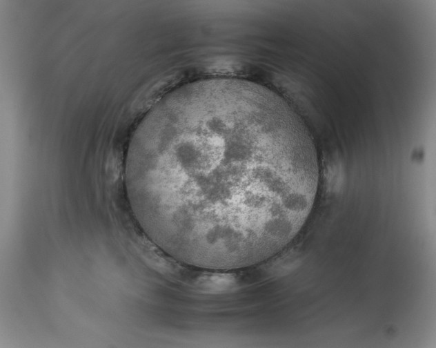 X0000113590665200910021718