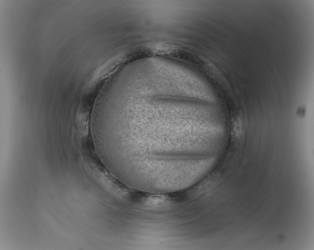 X0000113590666200910021718