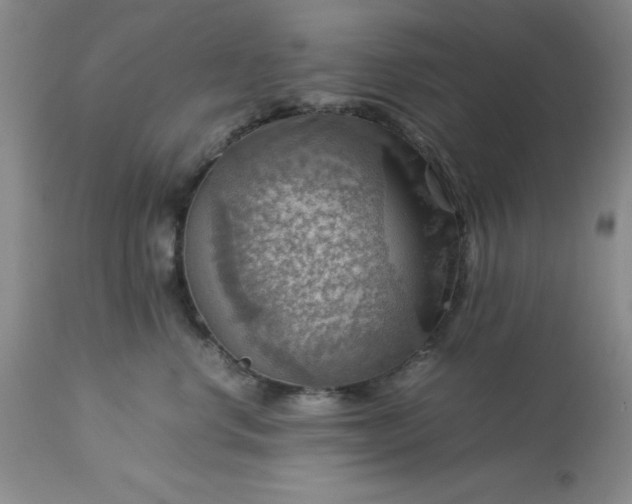 X0000113590668200910021718