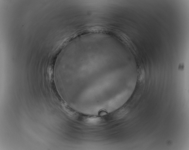 X0000113590669200910021718