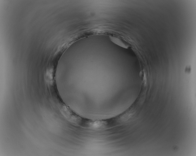 X0000113590670200910021718