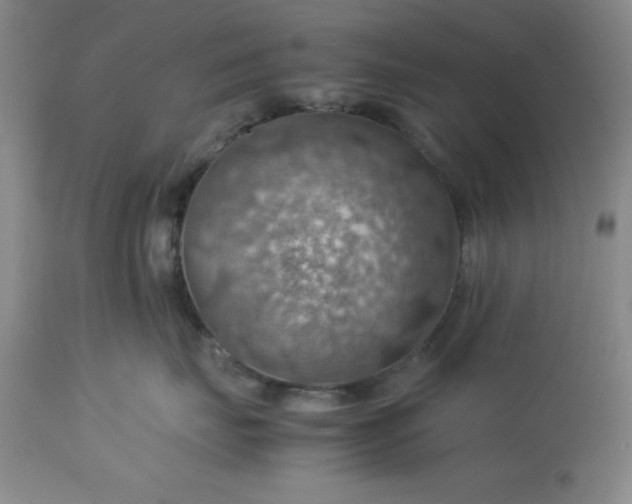 X0000113590671200910021719