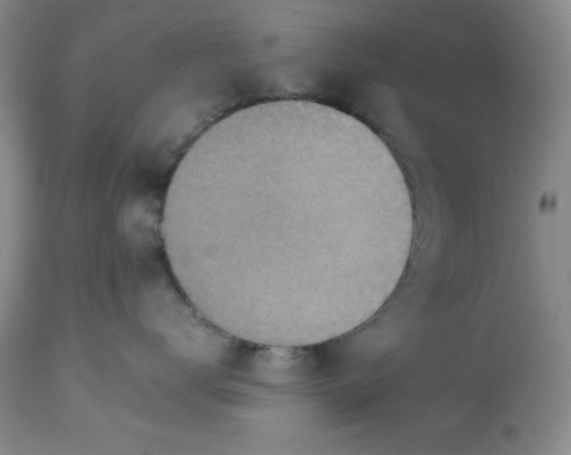 X0000113590672200910021719