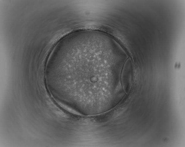 X0000113590673200910021718