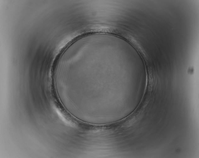 X0000113590674200910021718