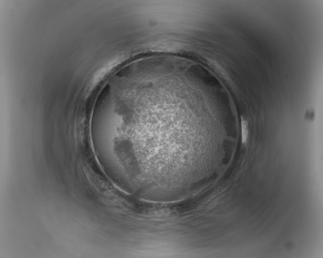 X0000113590675200910021718