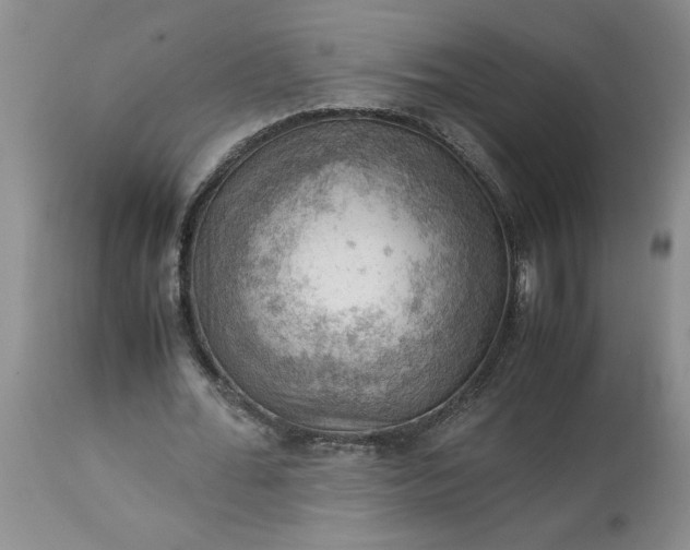 X0000113590676200910021718