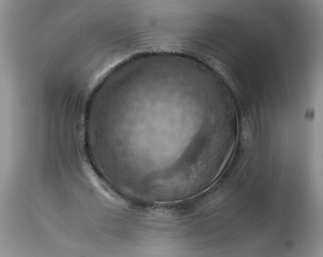 X0000113590677200910021718