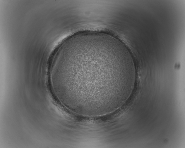 X0000113590679200910021718