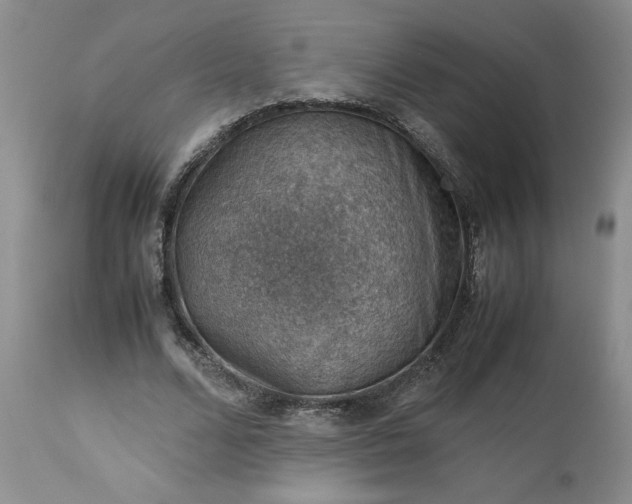 X0000113590680200910021718