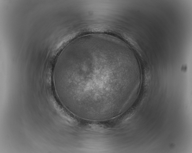 X0000113590681200910021718