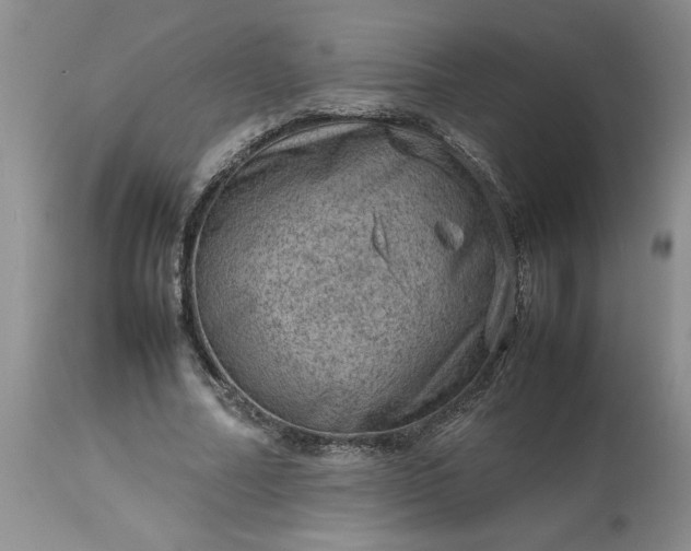 X0000113590682200910021718