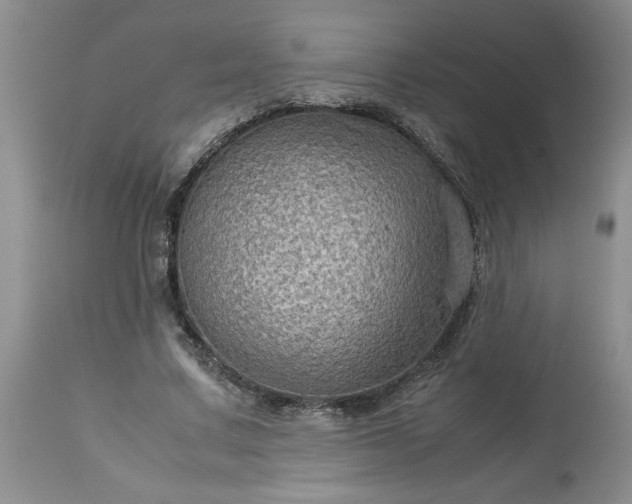 X0000113590683200910021718